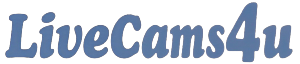 Free Sex Live Cams Chat Shows - LiveCams4u.com